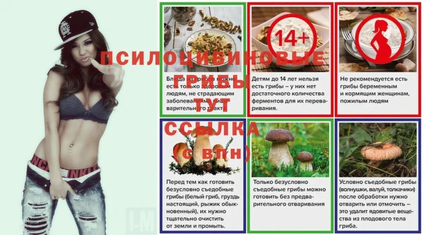 MESCALINE Аркадак
