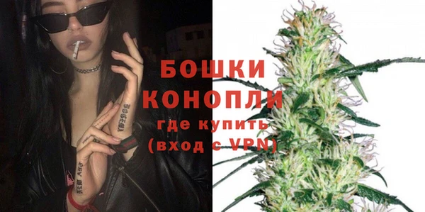 дмт Протвино