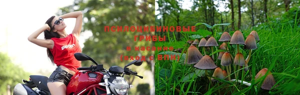 кокаин премиум Арсеньев
