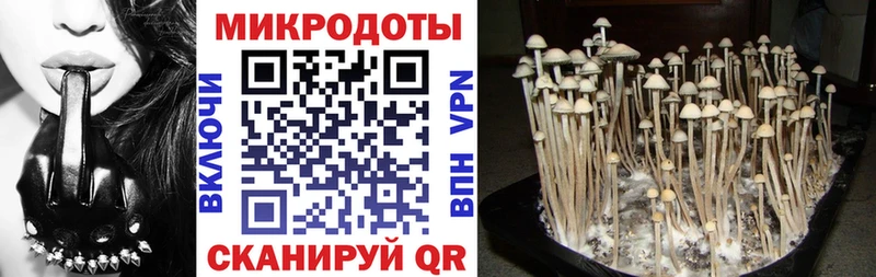 blacksprut как зайти Белокуриха Галлюциногенные грибы ЛСД